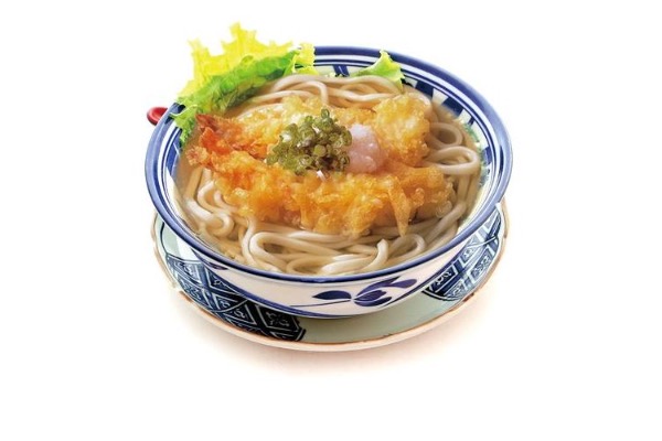 UD2 Nouille Udon