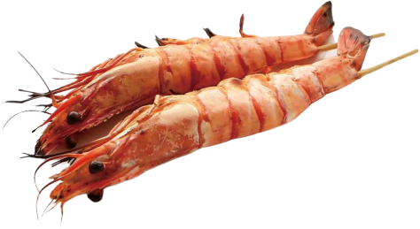 Y7 Cambas
