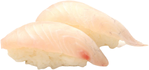 SU4 Daurade