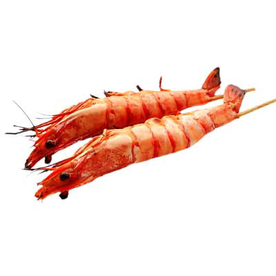 Y9. Gambas