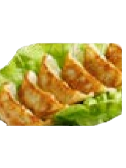 Gyoza