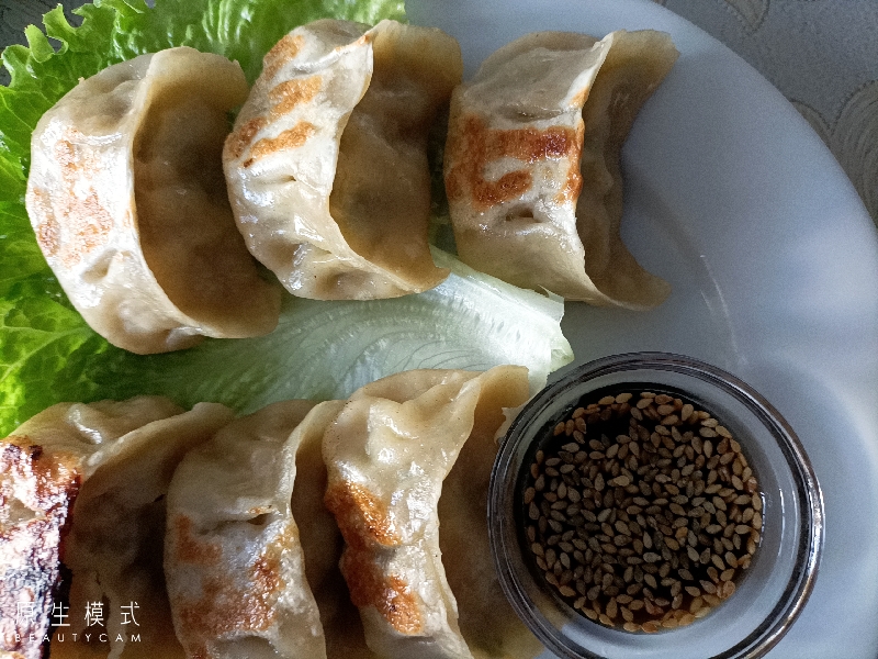 A10a. Raviolis grillés végétariens (6pcs)