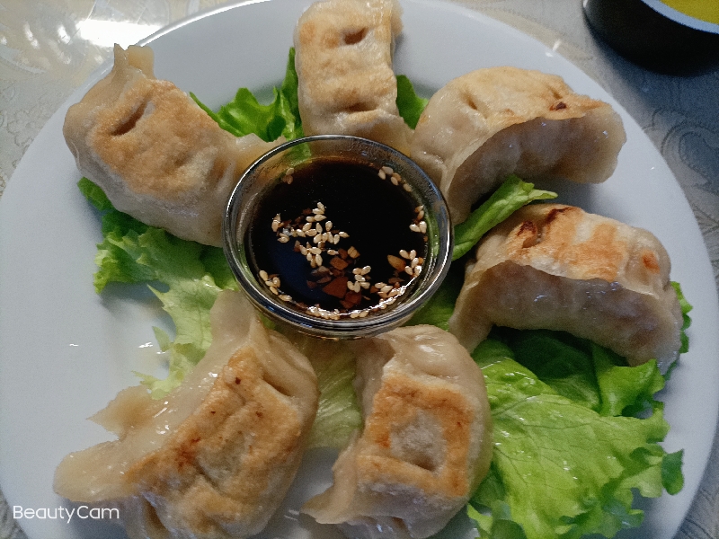A10b. Raviolis grillés poulet (6pcs)