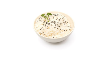E09B. 醋饭 Riz vinaigré