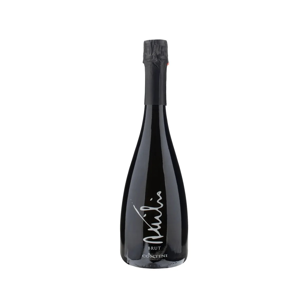 ATTILIO BRUT