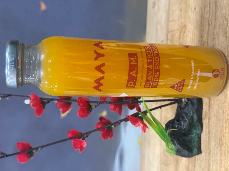 maya juice mangue